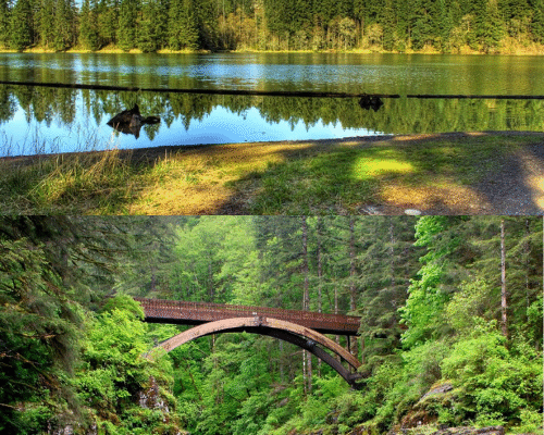 Places to Hike in Vancouver WA – Top 15 Scenic Trails, Travel Tips & Where to Stay