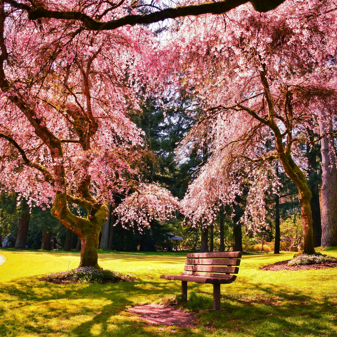 Vancouver spring season